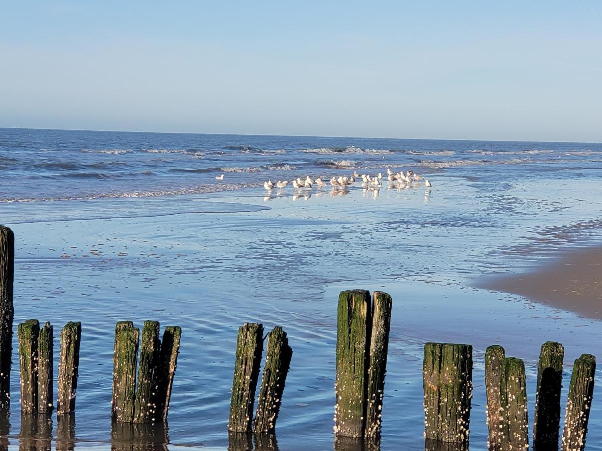 Pension Canberra Bergen aan Zee Luaran gambar